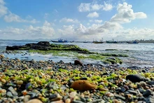 El área comunal de la isla de Tam Hai figura entre las áreas de alta biodiversidad de la provincia de Quang Nam. (Fotografía: Nhan Dan)
