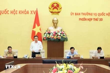 El vicepresidente permanente de la Asamblea Nacional, Tran Thanh Man, en la reunión. (Fotografía: VNA)