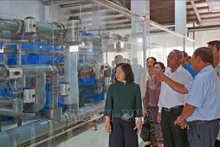 Delegación de Laos visita la empresa de Viet-Uc Ca Mau. (Fotografía: VNA)