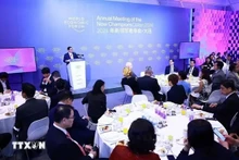 El primer ministro de Vietnam, Pham Minh Chinh, dialoga con líderes de corporaciones del FEM en Dalian. (Fotografía: VNA)