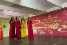 Una presentación artística en el acto de celebración del Tet en Mozambique. (Fotografía: VNA)