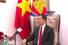 El embajador vietnamita en la India, concurrente en Nepal y Bután, Nguyen Thanh Hai. (Fotografía: VNA)