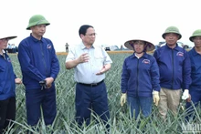 El primer ministro Pham Minh Chinh visita la finca de piña de Dong Giao. (Fotografía: Nhan Dan)