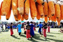 Original festividad tradicional de la etnia vietnamita Cong