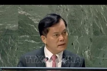 El viceministro vietnamita de Relaciones Exteriores Ha Kim Ngoc. (Fotografía: VNA)