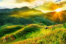 Mu Cang Chai figura entre 25 destinos con "belleza surrealista”