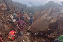 La búsqueda de víctimas del deslizamiento de tierra en Papúa Nueva Guinea. (Fotografía: AFP/VNA)
