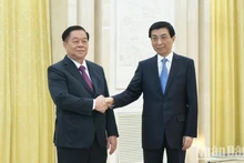 El miembro del Buró Político y del Secretariado del Comité Central del Partido Comunista de Vietnam y jefe de su Comisión de Comunicación y Educación, Nguyen Trong Nghia (izquierda), se reúne con el miembro permanente del Buró Político del Comité Central del Partido Comunista de China y presidente del Comité Nacional de la Conferencia Consultiva Política del Pueblo Chino, Wang Huning. (Fotografía: Nhan Dan)