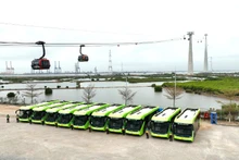 El transporte eléctrico gratuito para turistas en la isla de Cat Ba se despliega a partir del 18 de abril. (Fotografía: Nhan Dan)