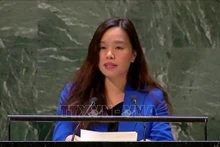 Le Thi Minh Thoa, subjefa de la delegación permanente de Vietnam ante la ONU. (Fotografía: VNA)