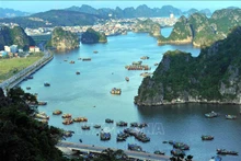 En Quang Ninh. (Fotografía: VNA)