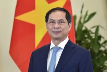 El ministro de Relaciones Exteriores de Vietnam, Bui Thanh Son. (Fotografía: VNA)