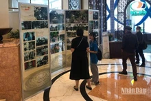 Visitantes a un festival internacional de cine en Hanói, la capital vietnamita. (Fotografía: Nhan Dan)