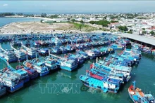 Barcos pesqueros en el puerto de My Tan en la comuna de Thanh Hai, distrito de Ninh Hai, provincia central de Ninh Thuan. (Fotografía: VNA)