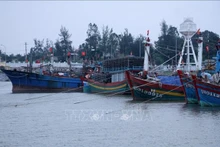 En Quang Binh. (Fotografía: VNA)