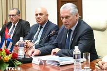 El presidente de Cuba, Miguel Díaz-Canel, afirmó que las relaciones Vietnam-Cuba son un modelo único en el mundo. (Fotografía: VNA)