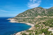 Ninh Thuan preserva la biodiversidad para el desarrollo sostenible