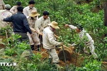 El personal de Mine Advisory Group maneja bombas remanantes de guerra en la provincia vietnamita de Quang Binh. (Fotografía: VNA)