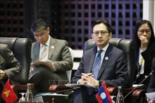 El viceministro de Relaciones Exteriores de Vietnam Do Hung Viet. (Fotografía: VNA)