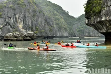 [Foto] Explorar bahía vietnamita de Lan Ha en crucero