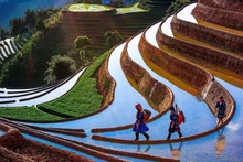 Explora el turismo en provincia vietnamita de Yen Bai