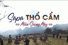 Inaugurarán mañana típico festival cultural de provincia vietnamita