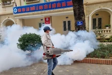 Hanói toma medidas preventivas contra el dengue. (Fotografía: VNA)