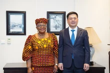 El ministro de Industria y Comercio de Vietnam, Nguyen Hong Dien, y la directora general de la Organización Mundial del Comercio (OMC), Ngozi Okonjo-Iweal. (Fotografía: VNA)