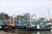 Las autoridades de la provincia de Ben Tre, en el Delta del Mekong, han instado a las agencias y localidades a implementar con urgencia medidas estrictas contra la pesca ilegal, no declarada y no reglamentada. (Fotografía: VNA)