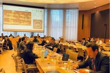 Durante el cuarto examen de las políticas comerciales de Brunéi, celebrado por la Organización Mundial del Comercio en Ginebra. (Fotografía: VNA)