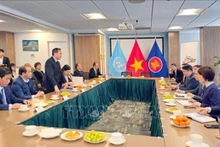 Panorama de la reunión. (Fotografía: VNA)