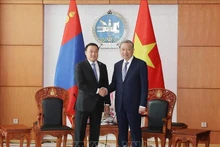 El secretario general del Partido Comunista y presidente de Vietnam, To Lam (derecha), se reúne con el presidente del Gran Jural del Estado (Parlamento) de Mongolia, Dashzegve Amarbayasgalan. (Fotografía: VNA)