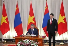 El secretario general del Partido Comunista y presidente de Vietnam, To Lam, firma el libro de invitados de honor. (Fotografía: VNA)