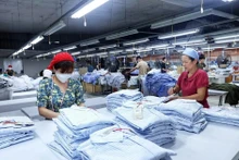 Producción de prendas de vestir para las exportaciones. (Fotografía: VNA)