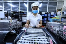 Producción de lentes en una empresa con capital japonés en la provincia norteña de Hoa Binh. (Fotografía: VNA)
