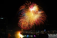 [Foto] Fuegos artificiales recrean mundo de los cuentos de hadas en Da Nang