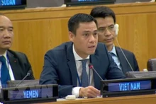 El embajador Dang Hoang Giang, jefe de la misión permanente de Vietnam ante las Naciones Unidas. (Fotografía: VNA)