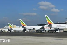 Ethiopian Airlines estrenará vuelos de pasajeros a Hanói en julio. (Fotografía: VNA)