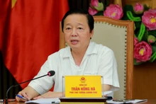 El vicepremier Tran Hong Ha habla en la reunión. (Fotografía: VGP)