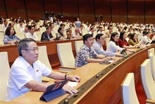 Los legisladores votaron para aprobar la Resolución. (Fotografía: VNA)