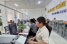 En una oficina. (Fotografía: VNA)