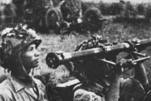 Cañón antiaéreo en Dien Bien Phu. (Foto: VNA)
