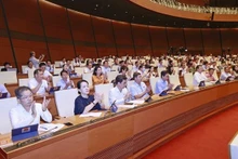 La Asamblea Nacional de Vietnam aprueba la Ley de Cooperativas (modificada). (Fotografía: VNA)