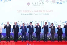 Jefes de las delegaciones de los países de la Asean y el primer ministro japonés, Kishida Fumio, se toman una foto juntos. (Fotografía: VNA)