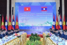 En la cita. (Fotografía: Thanh Giang)