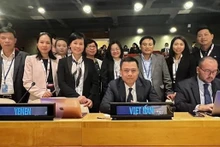 La delegación vietnamita participa en la conferencia. (Fotografía: VNA)