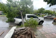 Consecuencia de la tormenta. (Fotografía: VNA)