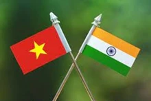 Vietnam participa en Cumbre de la Asociación de la India