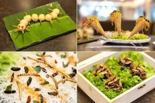 Singapur aprueba el consumo de algunas especies de insectos. (Fotografía: The Straits Times)