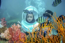 Buceo en las playas de Phu Quoc, provincia de Khanh Hoa. (Fotografía: VNA)